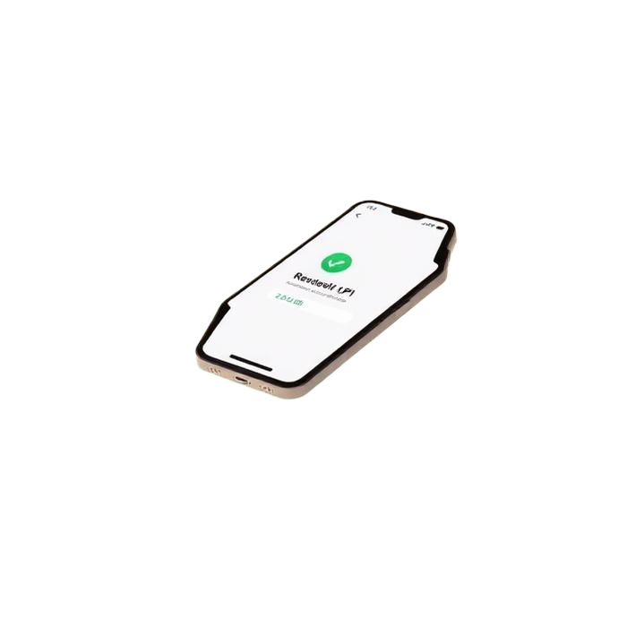 Instant Payment